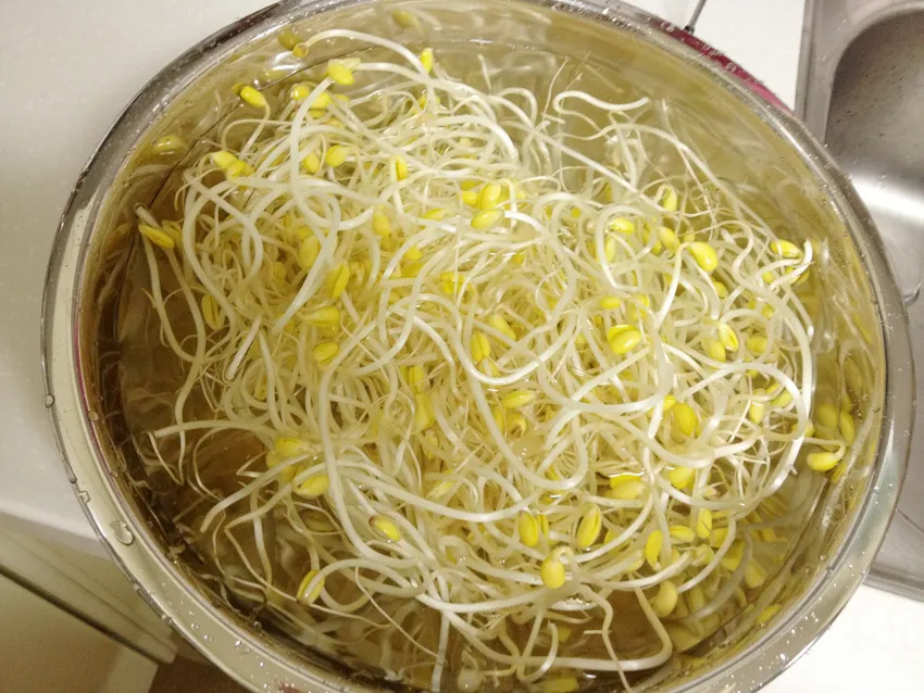 황태 콩나물국 만들기 레시피