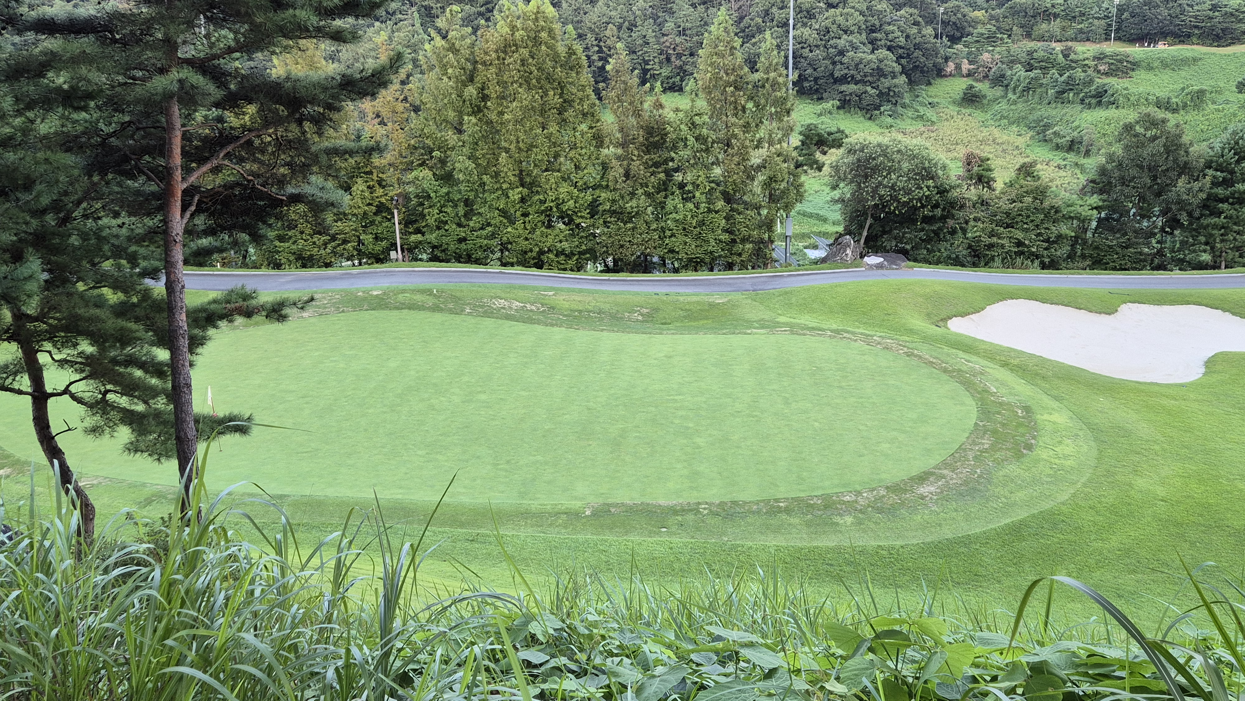 대영힐스cc 청-력 코스 라운드 후기