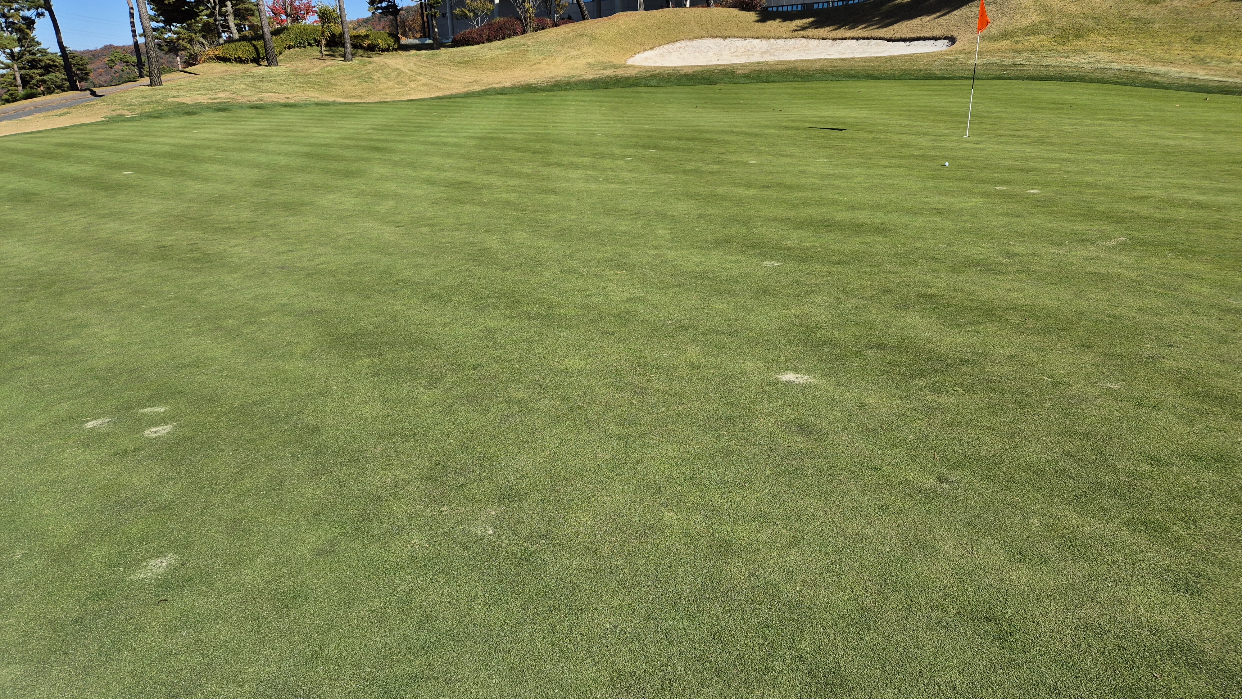 레이캐슬cc 그린관리상태