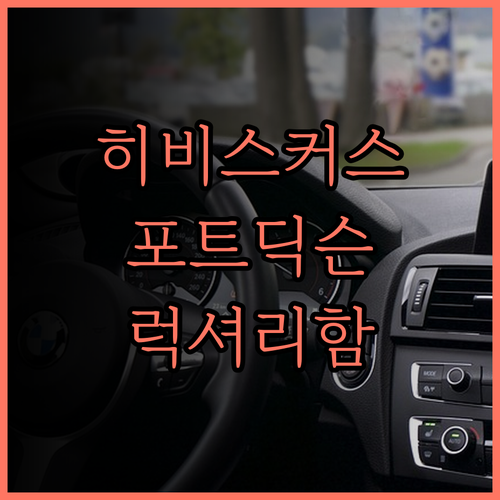 렉시스 히비스커스 포트 딕슨.. 럭셔