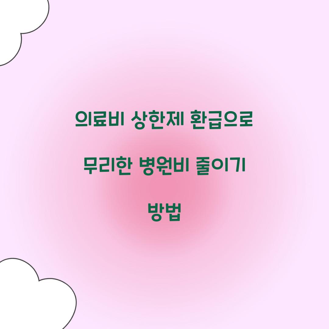 의료비 상한제 환급