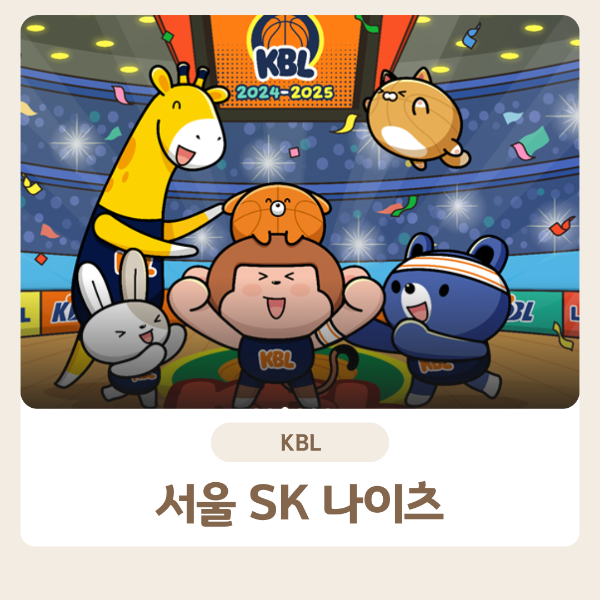 서울sk나이츠