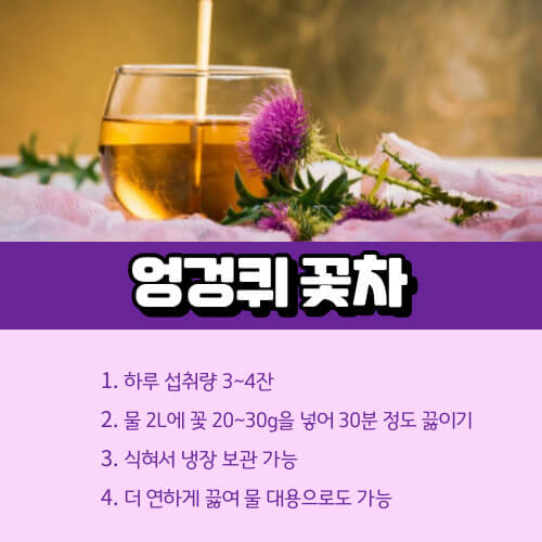 엉겅퀴_꽃차