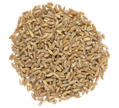 고대 곡물 3대장 차이점 비교 파로 효능 및 부작용, 먹는법, 맛, 효소