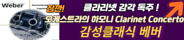 클라리넷 연주
