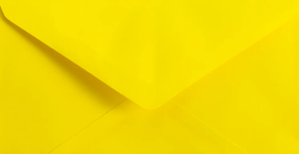 노란봉투법 유래