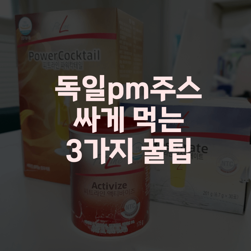 독일pm