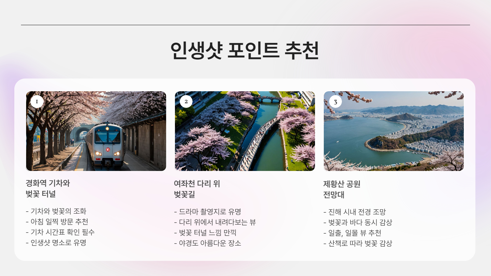 진해 군항제 2025 일정 공개! 벚꽃과 함께하는 봄 축제