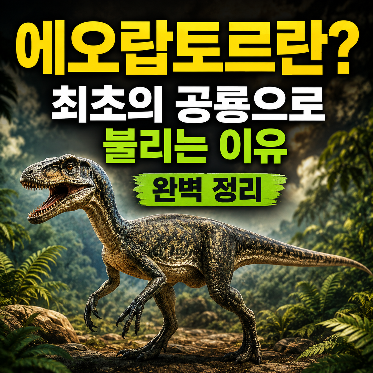 에오랍토르