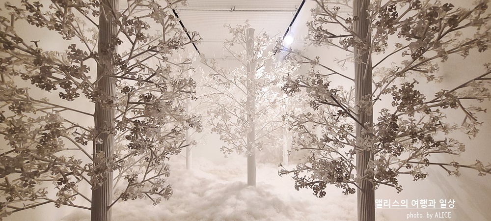 해운대 뮤지엄원 치유의기술, 부산 실내 가볼만한곳, 부산 전시 + 33% 할인예약방법