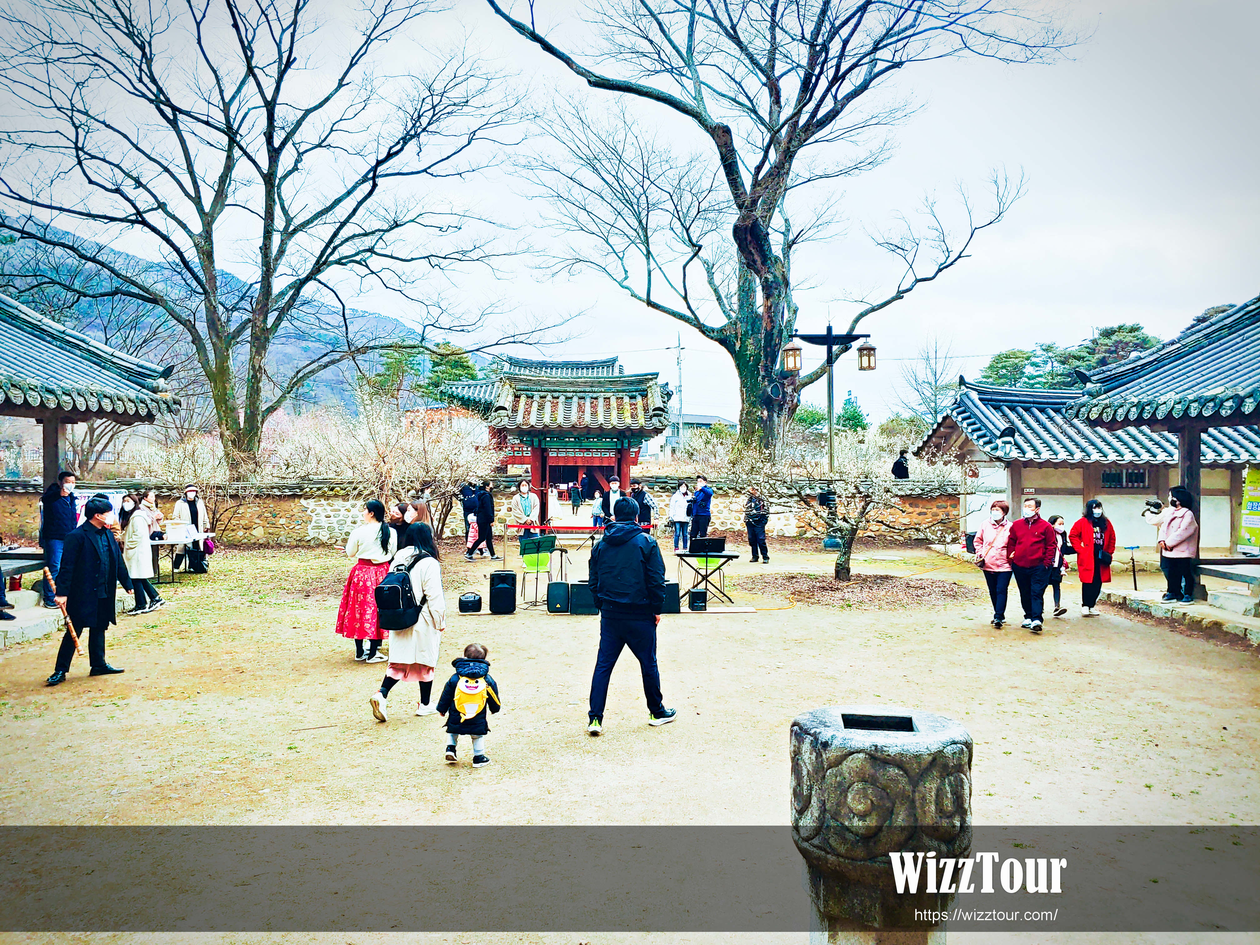 성주 매화 축제