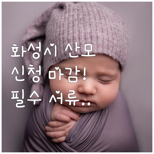 2025년 화성시 산모신생아 지원 놓..