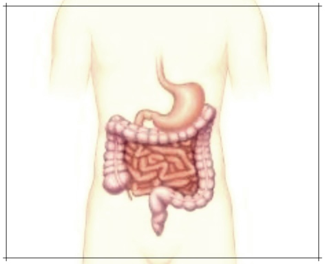 에디슨 병이란? 상세 설명