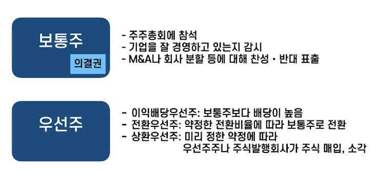 보통주 vs 우선주 차이점 특성 투자 전략