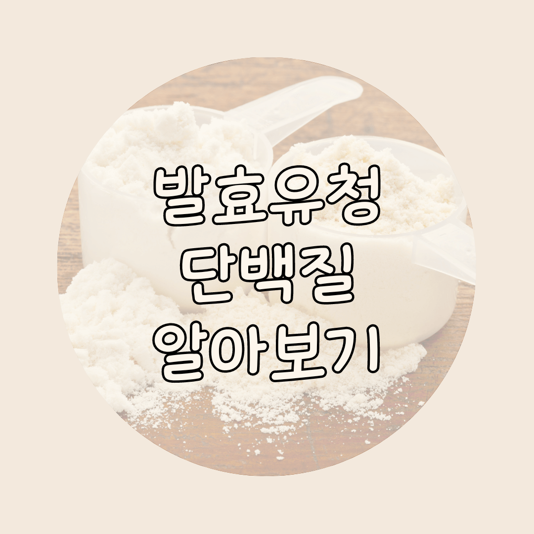 발효유청단백질