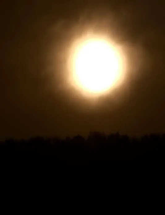 수성생활체육공원