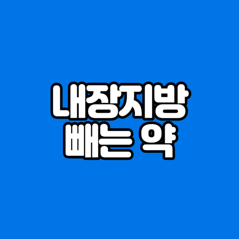 내장지방 빼는 약