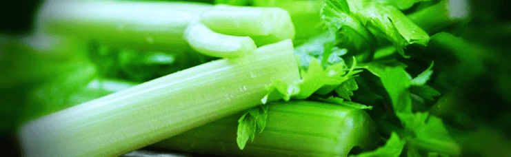셀러리-다듬은-사진