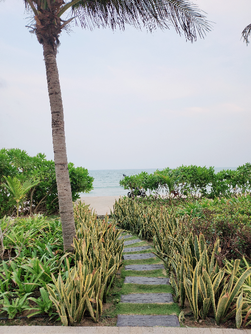 해변쪽 산책로 1