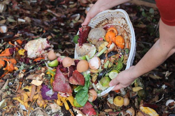 유기농 쓰레기를 퇴비로 바꿔 활용하는 법