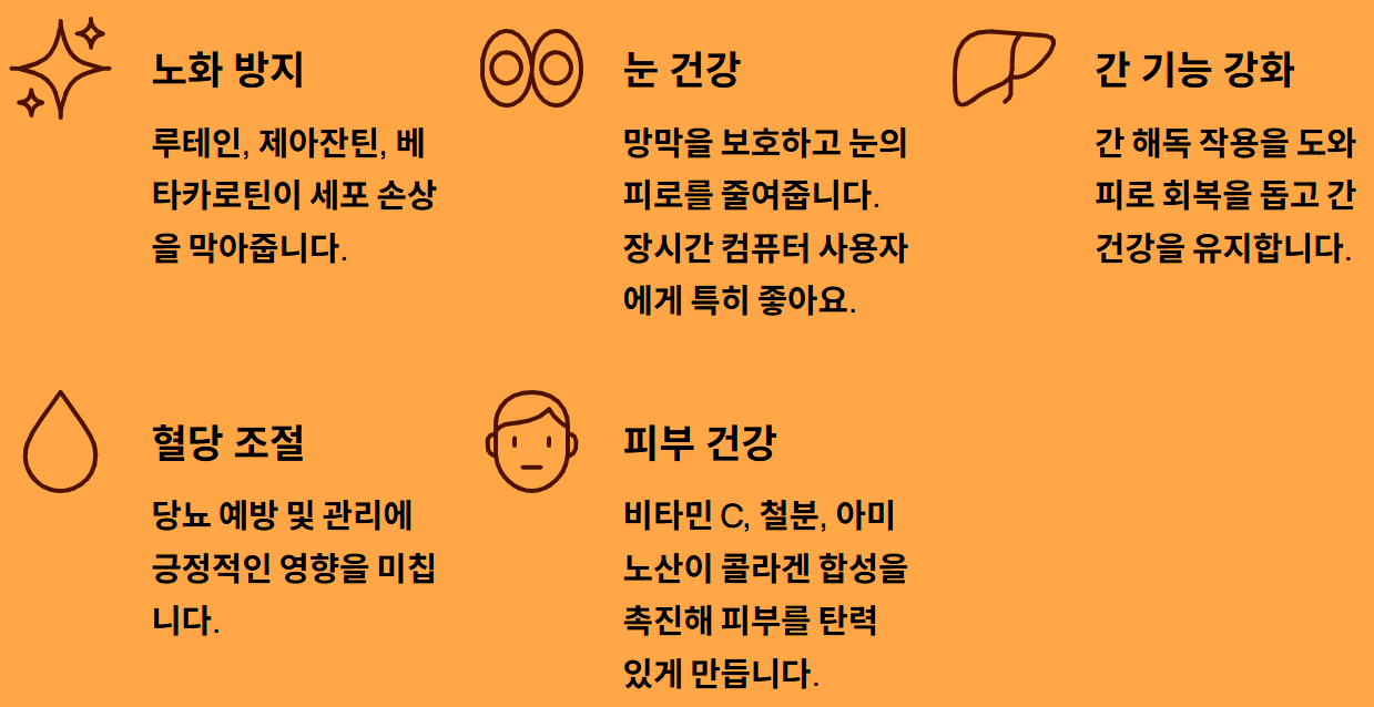 구기자 대추 생강차 효능