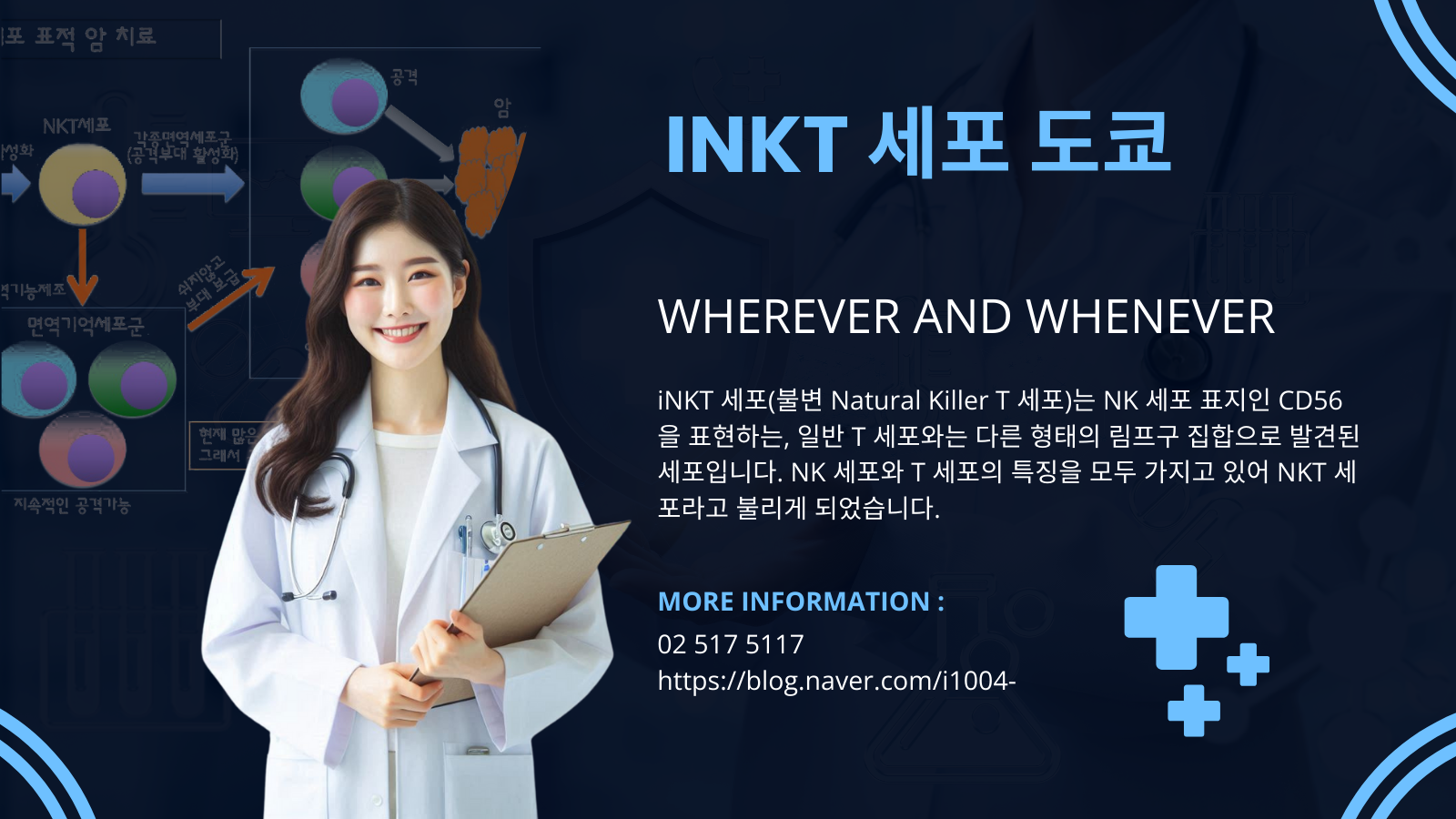 iNKT 암치료