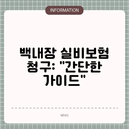 백내장 실비보험 청구: