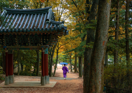 지역 전설과 설화가 깃든 마을 여행