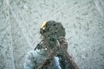 낙엽처럼 살아온 내 모습이 악보 완벽 연주 가이드_8