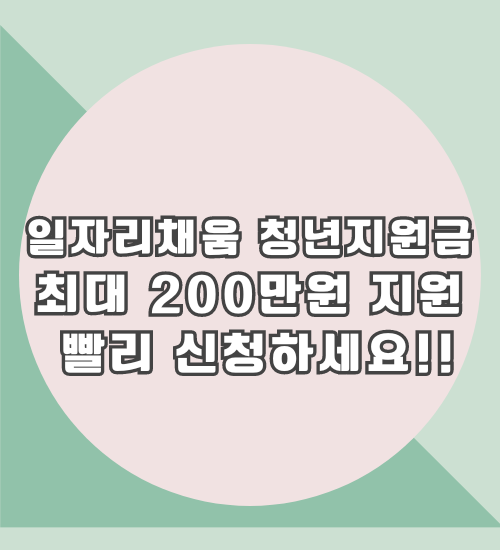 일자리 채움 청년지원금