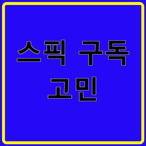 스픽 구독 고민이라고 쓰여있는 텍스트 이미지