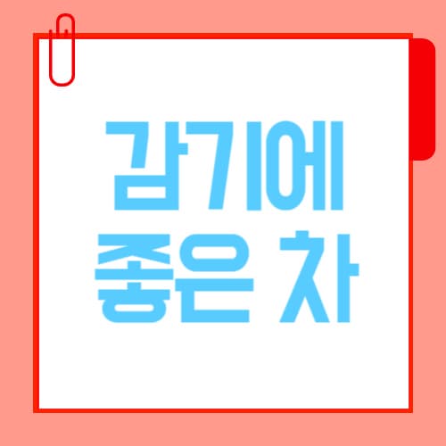 감기에 좋은 차 추천 – 몸이 회복되는 따뜻한 한 잔
