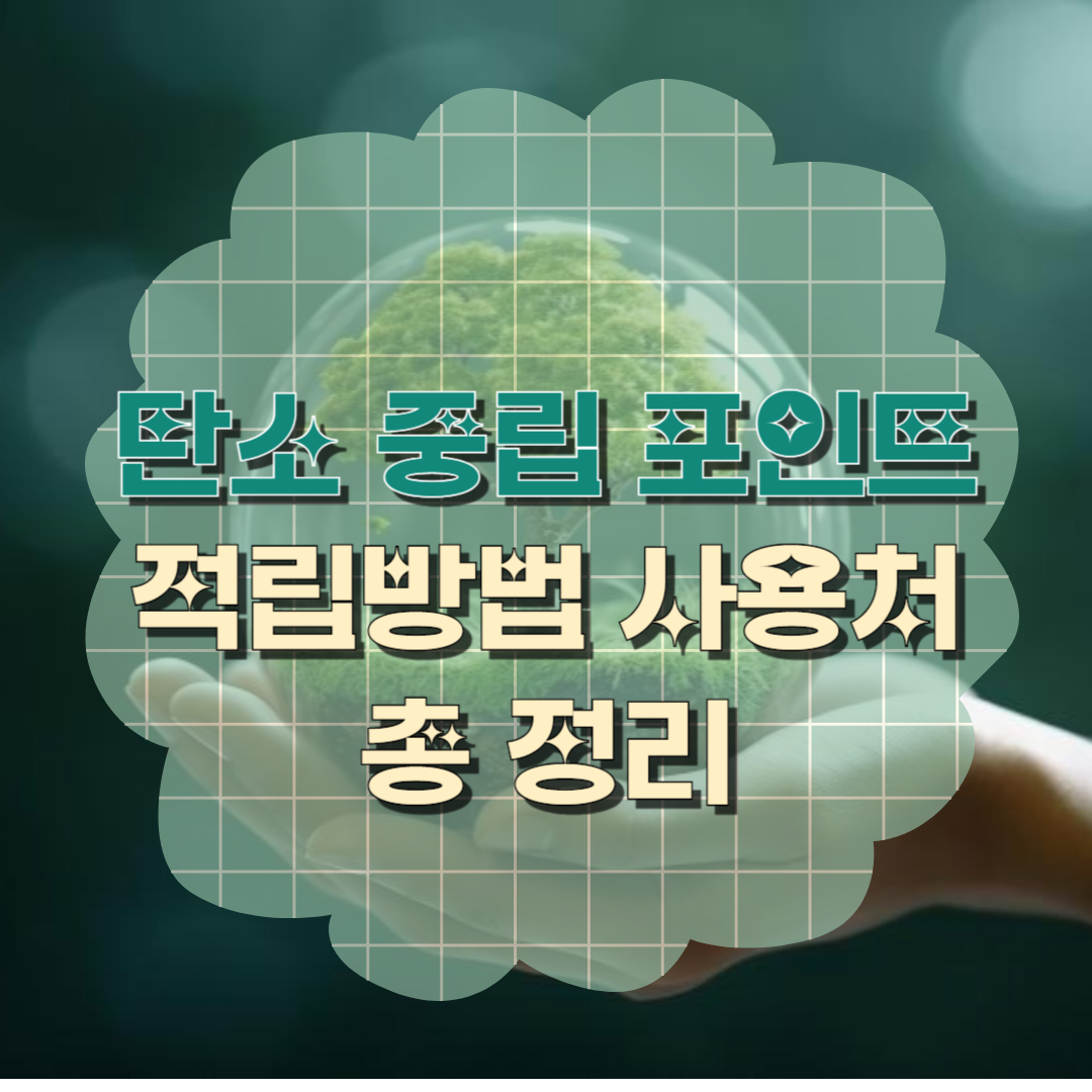 탄소 중립 포인트 모으는 방법과 사용처