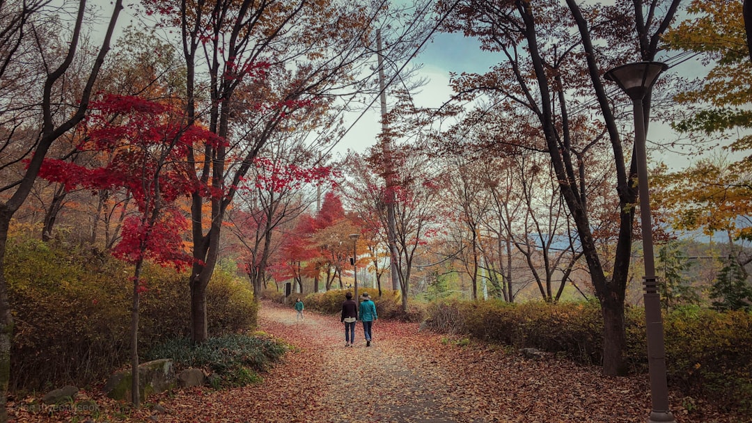 Daegu