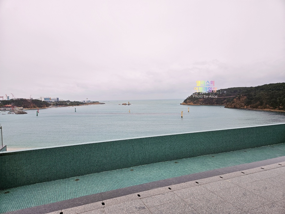 울산 타니베이 호텔 사우나 인피니티풀 피트니스 센터 부대시설 후기