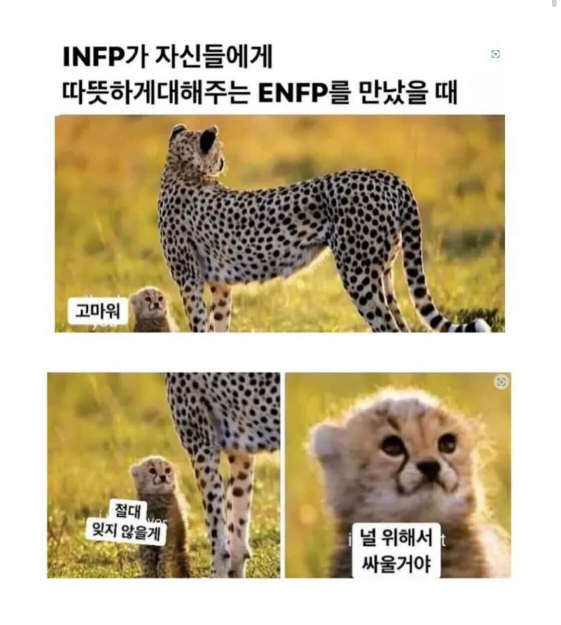 infp