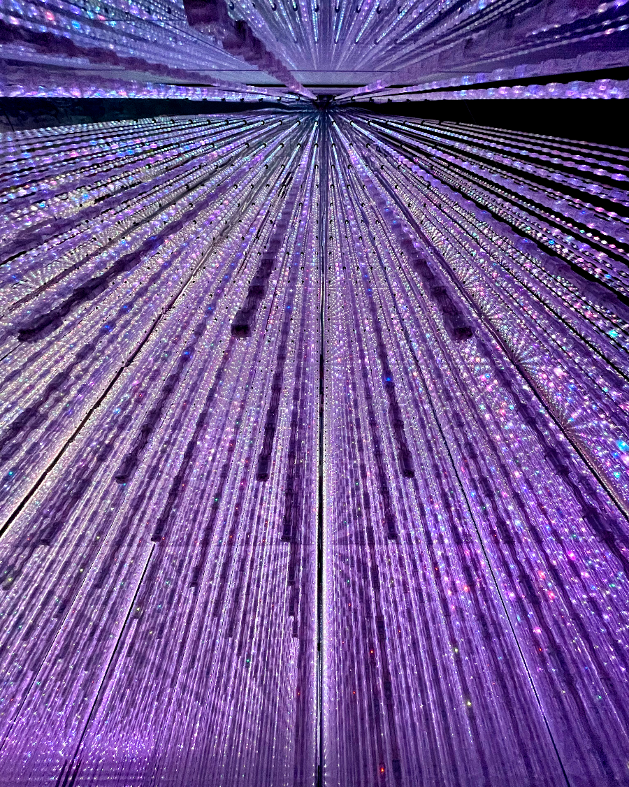 일본 도쿄 팀랩 플래닛 여행-생명은 결정화된 덧없는 빛