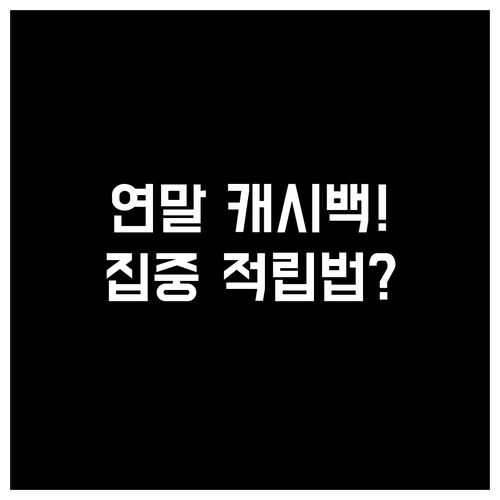 플랫폼별 연말 캐시백 적립 집중 전략..