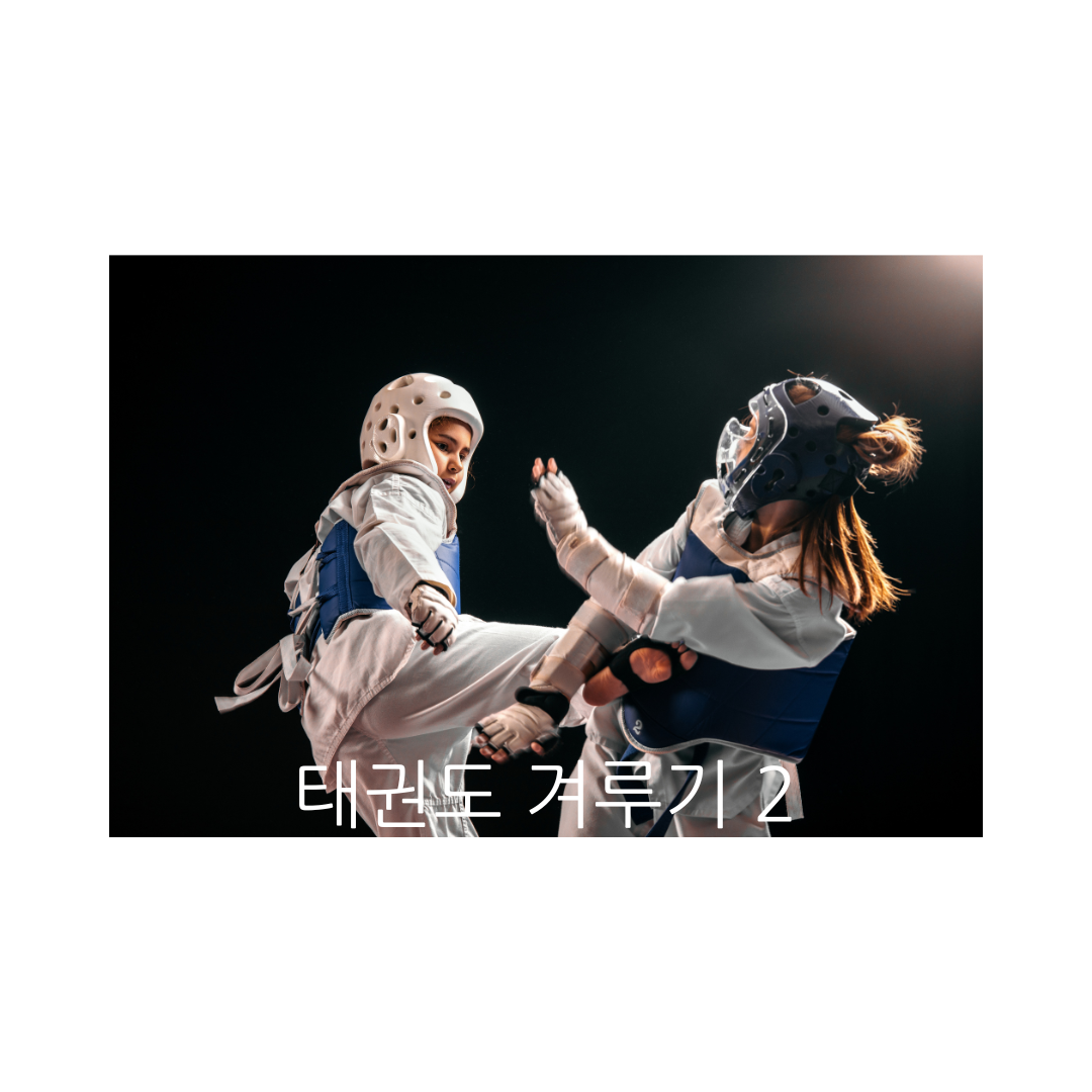 태권도 겨루기 2
