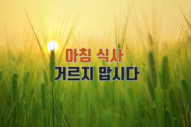 아침식사 중요