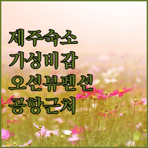 제주 숙소 추천 가성비 오션뷰 펜션부..