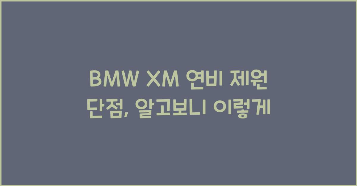 BMW XM 연비 제원 단점