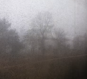 비타민D 부족 증상 섭취방법 많은 음식