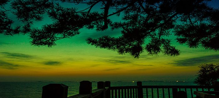 청산도 배 시간표, 여객선 운항 노선, 청산도표 예약