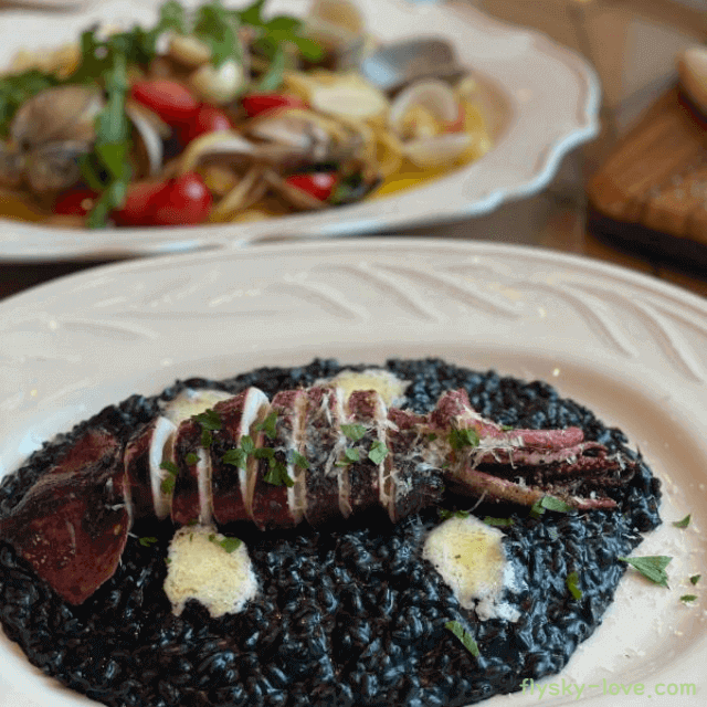 오징어 먹물 효능