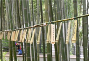 담양대나무축제 체험프로그램