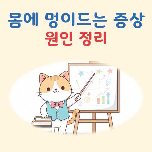 몸에 멍이드는 증상 대표 이미지