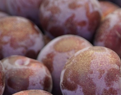 푸룬 건자두 효능 부작용