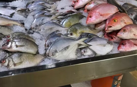 대한민국-수산대전-수산시장-생선-사진