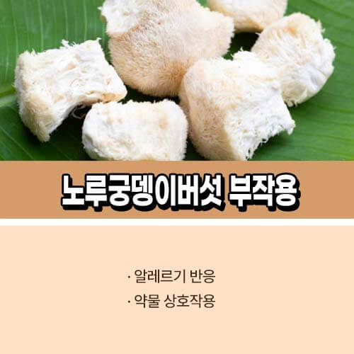 노루궁뎅이버섯 부작용